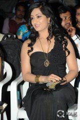 Cut Chesthe Movie Audio Launch